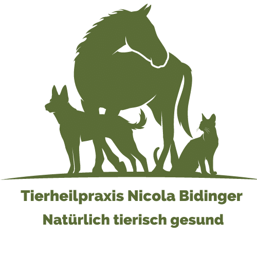 Tierheilpraxis Nicola Bidinger