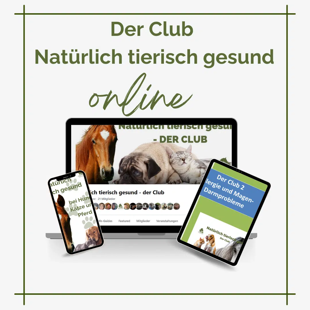 Natürlich tierisch gesund - der Club